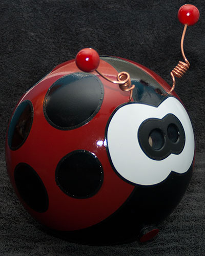 Lady Bug